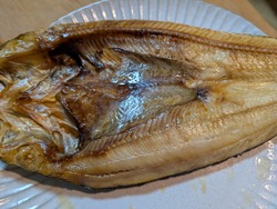 PXL_20251012_100547327