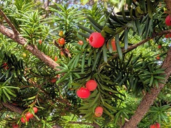 PXL_20251011_010533657~2