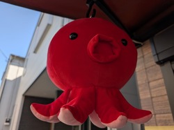 PXL_20260314_044423140