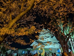 PXL_20260405_100716067