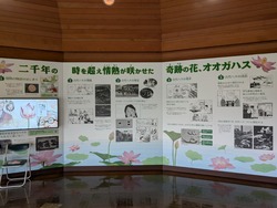 PXL_20250615_024925238