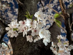PXL_20250404_094413738