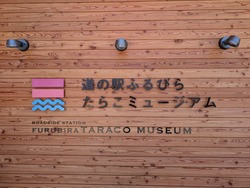 PXL_20250816_031453290