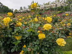 PXL_20260506_051010277