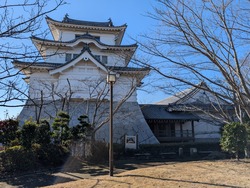 PXL_20250126_020403577