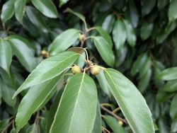 PXL_20250926_231350142