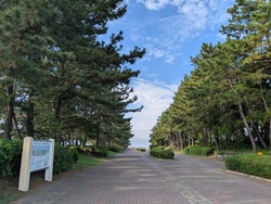 PXL_20251003_223627097