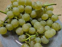 PXL_20251011_115904843