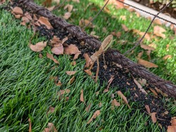 PXL_20251101_020048497