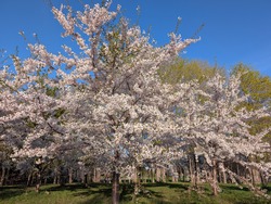 PXL_20250505_081132144