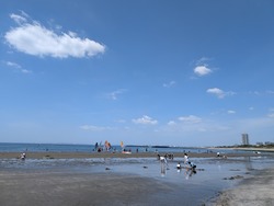 PXL_20260419_021719093