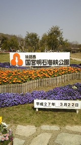 1a65db3a.jpg