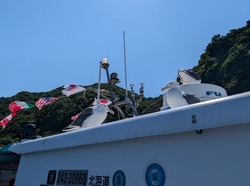 PXL_20250816_042749718