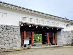 PXL_20260503_221853547~2