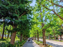 PXL_20260516_231141089~2