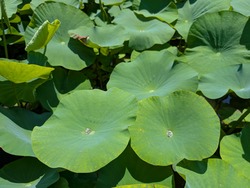 PXL_20260601_020732602