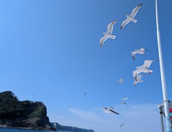 PXL_20250816_043513906