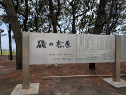 PXL_20250525_050644499