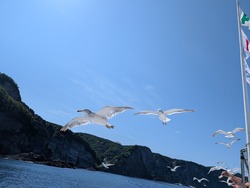 PXL_20250816_043010639