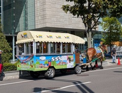 PXL_20250915_033441296~2