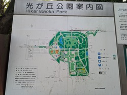 PXL_20250419_073051679