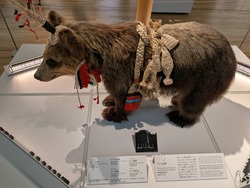 PXL_20260530_061347714