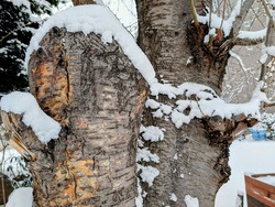 PXL_20260101_024053223~2