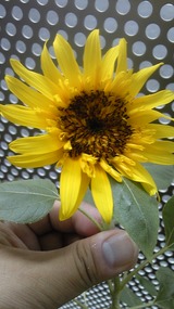 280d7687.jpg
