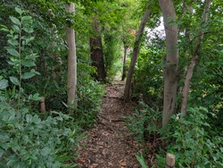 PXL_20260614_060132870