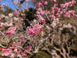 PXL_20250302_045401704