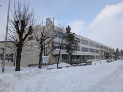 PXL_20260112_044409877