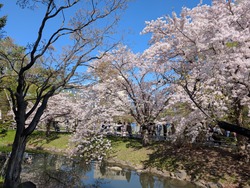 PXL_20250505_055216802