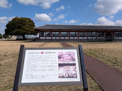 PXL_20250309_032904234
