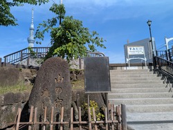 PXL_20250621_061540873