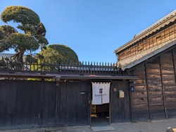 PXL_20250113_032746134