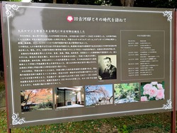 MP~2