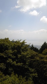354929d5.jpg