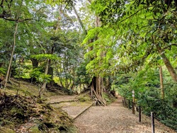 PXL_20251102_022856534~2