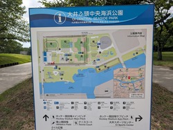 PXL_20250712_234017515