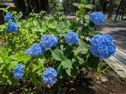 PXL_20250615_031419975