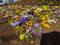 PXL_20260314_053135193