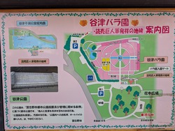 PXL_20250320_062133841