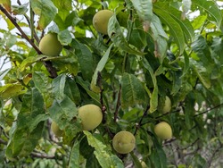 PXL_20250811_053401289