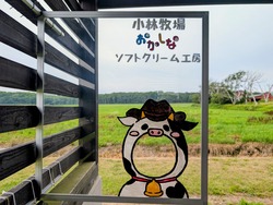 PXL_20250814_022218643~2