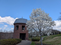PXL_20250505_031210208