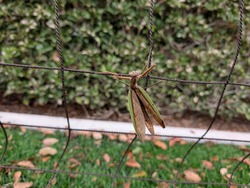 PXL_20251101_030437072