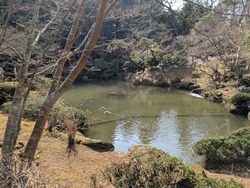 PXL_20250302_045542187