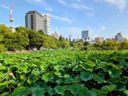 PXL_20250802_072045257~2