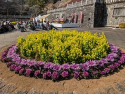PXL_20250302_044818929