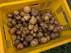 PXL_20250913_004849240